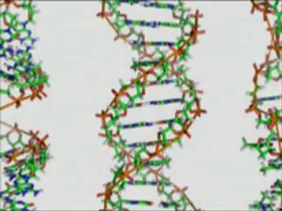 IN THE TENTS OF SHEM PART ONE