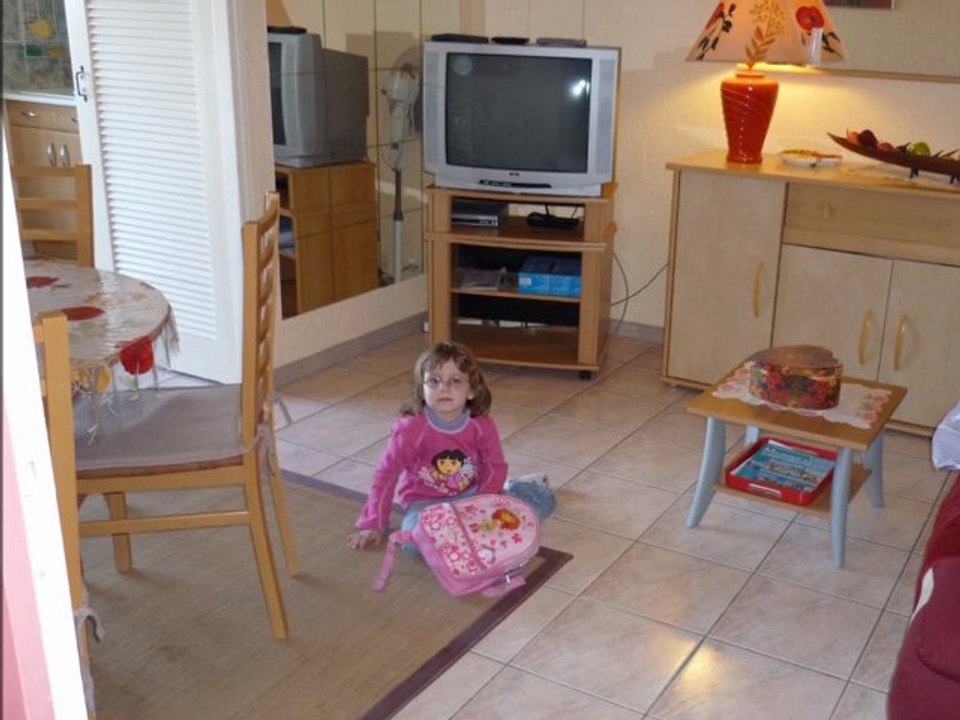 locanet av2011