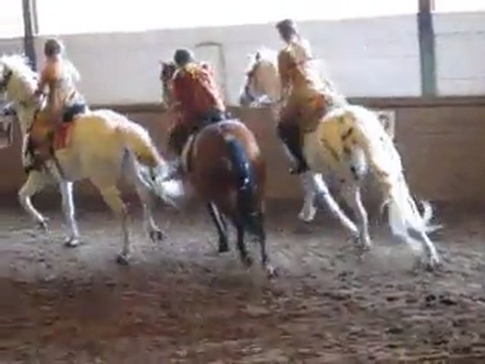 Le 23-04-2011 fête de fin de stage au manège El Cortijo