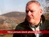Wines and food of Istria in Croatia w Guido Schwengerbauer