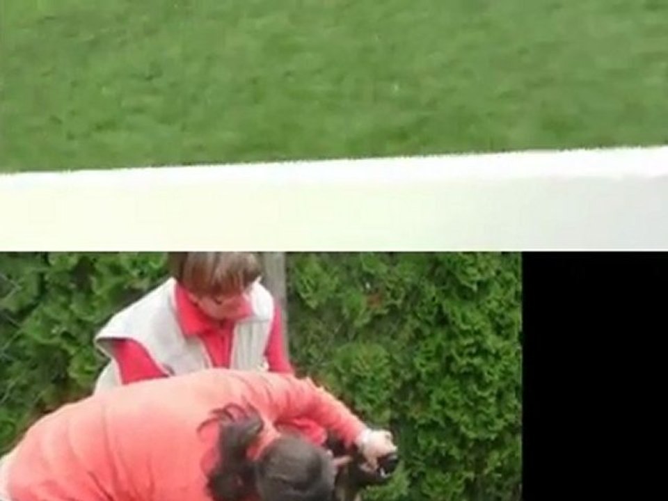 La NZB de Boann en images 16-04-2011