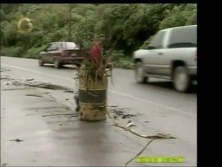 Las frutas y hortalizas que llegan al Dtto. Capital proviene