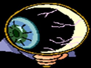 INVESTIGADOR PRIVEDO EN MORELOS