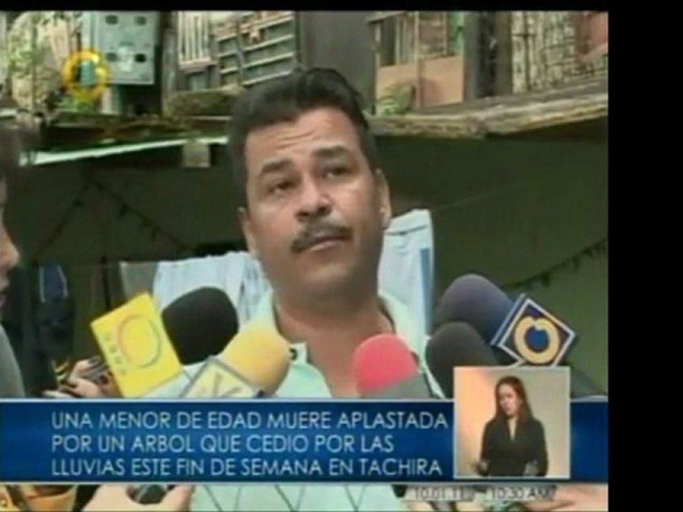 En el mun. San Cristóbal las lluvias ocasionaron que un árbo