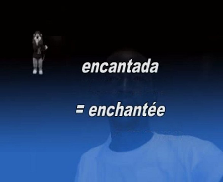 Lesson 1 : salutations