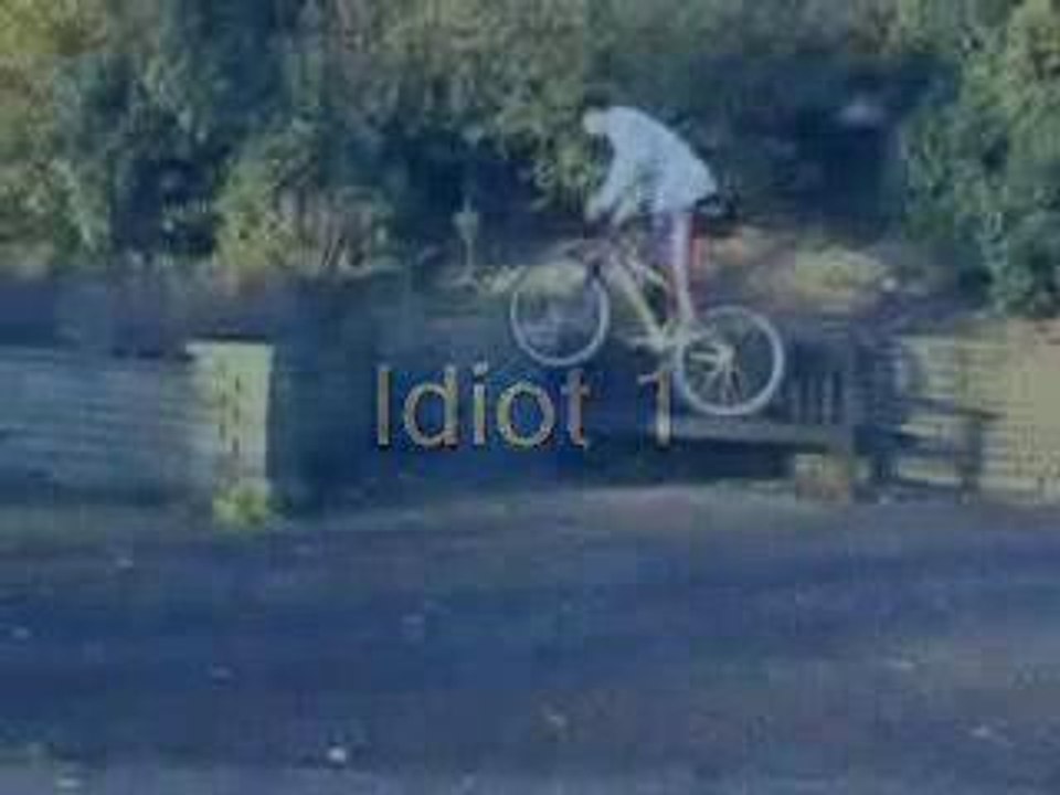 2005-11-114idiots