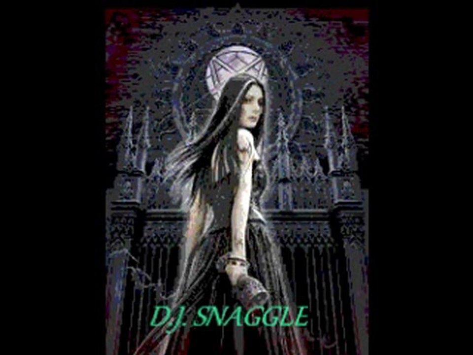 D.J. Snaggle in da House