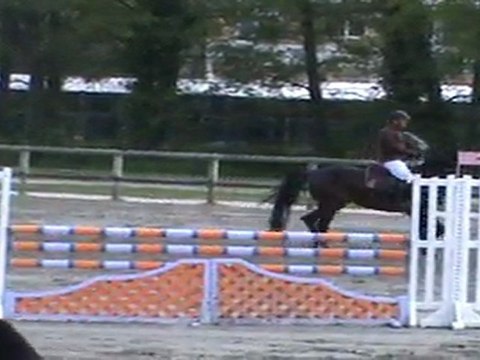 jument 4 ans par Cyrano du Ruisseau