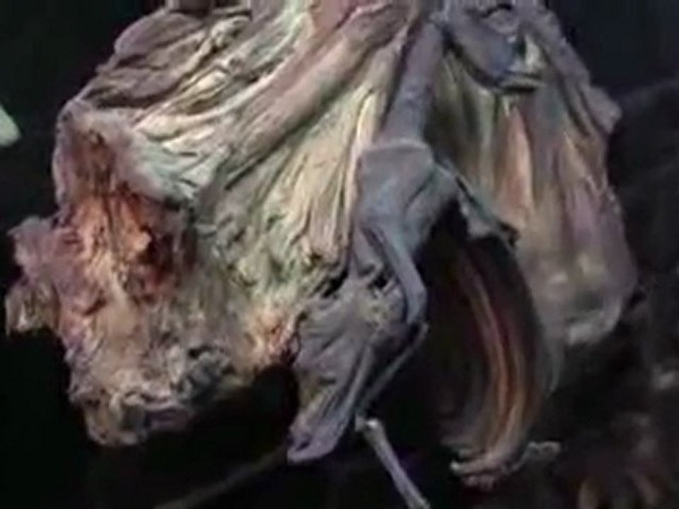 alien.(fossilisé).Russie.2011