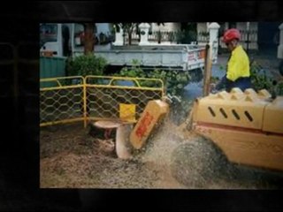 Delving into stump removal