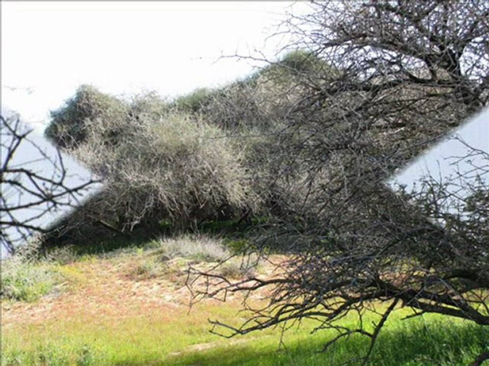 Spring in Israel