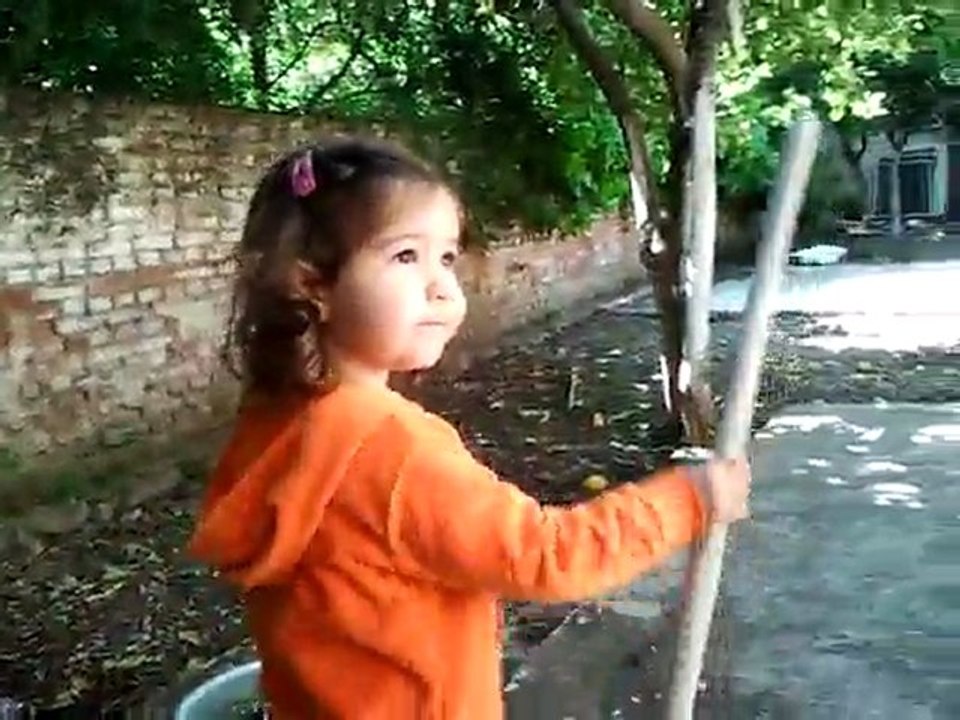 Video0028
