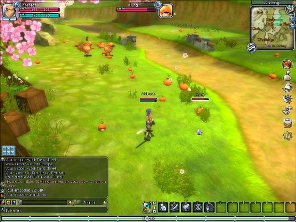 Video Test de Florensia