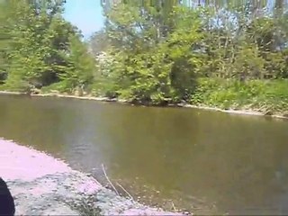 Where I'm from they just enjoy !