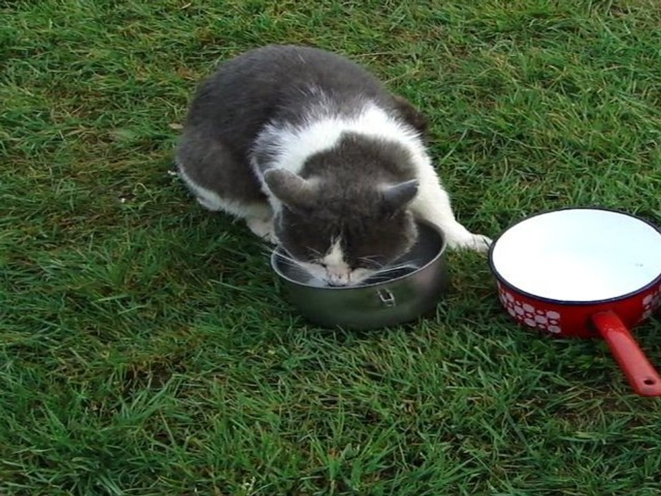 Poupi