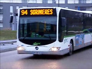 Mercedes Benz citaro II L n°5504 - TAN