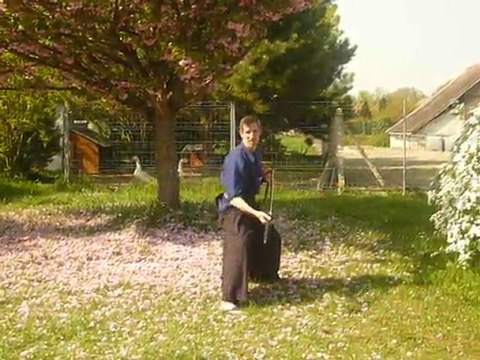 5ème kata iaido yoseikan budo shinto ryu -
