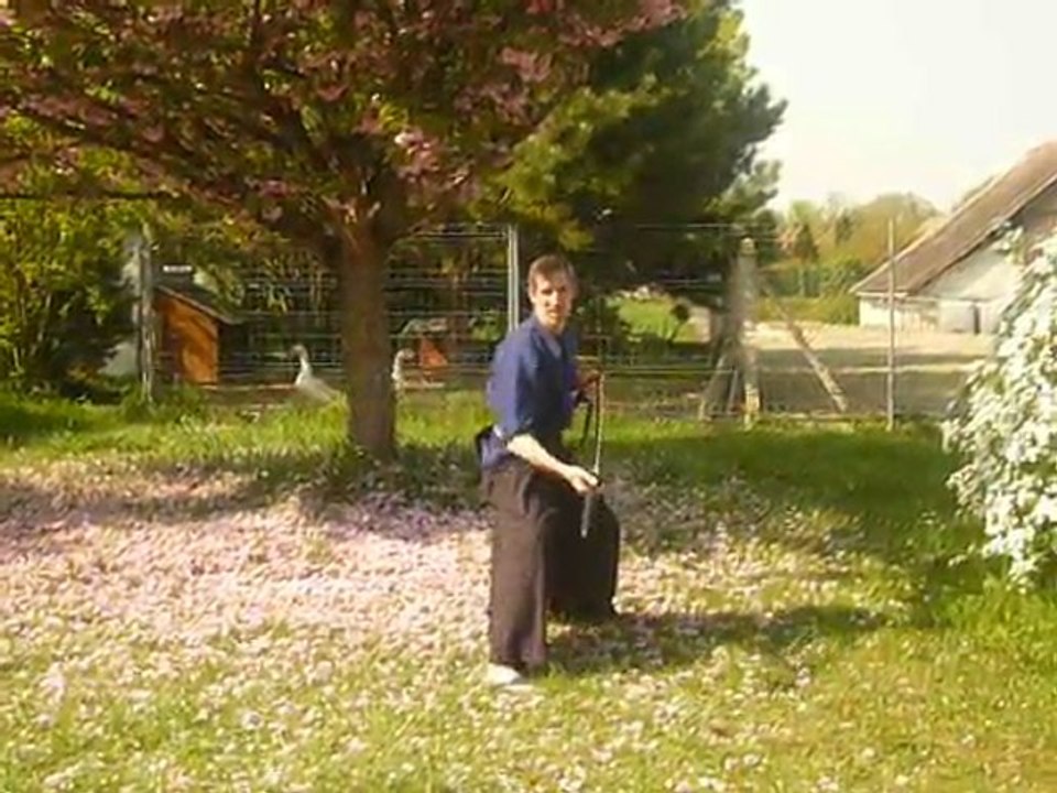 5ème kata iaido yoseikan budo shinto ryu -