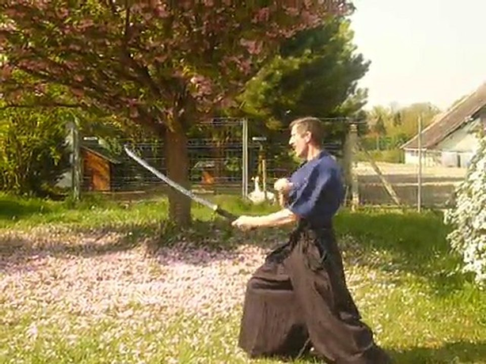 8ème kata iaido yoseikan budo shinto ryu -
