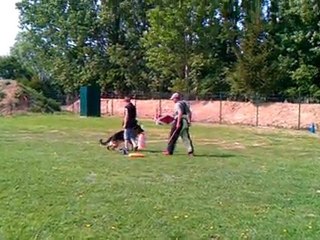 Flutter défense du maitre / ring 230411