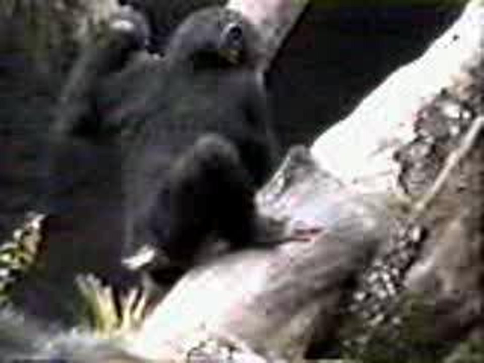 singe doigt au cul