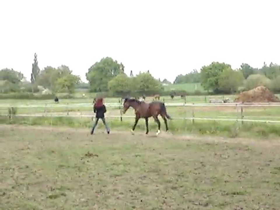 MOV01611