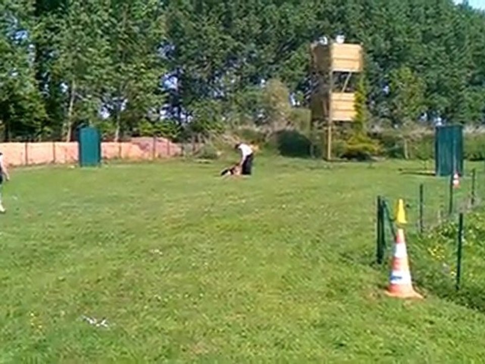 Flutter garde au ferme / ring 230411