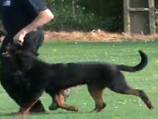 fleischer du champ des louves