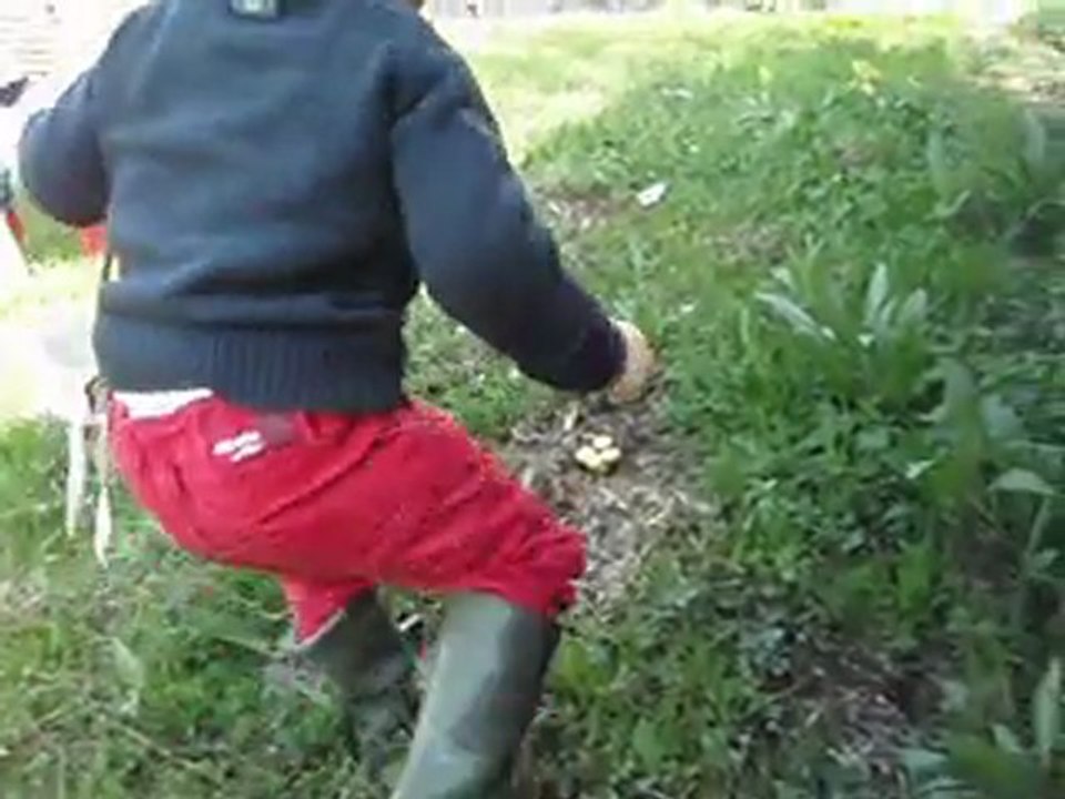 chasse aux oeufs de Simon