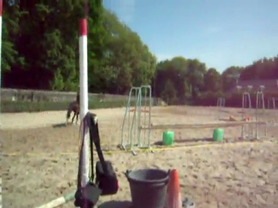 Gwen & Simbad, Stage CCE Avril 2011, II