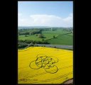 Crop circle Gwent, Pays de Galles 22 avril 2011