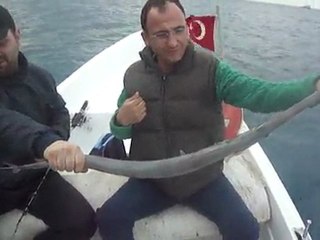 DEV TROMPET BALIĞI AVI ŞAŞIRTTI - www.adrasanbalik.com