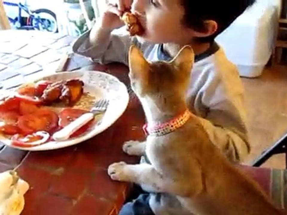 Gazelle petite gourmande!