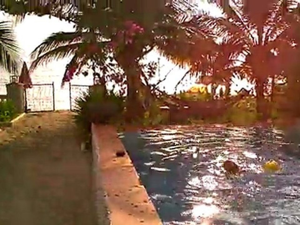 Piscine du Kukuluku