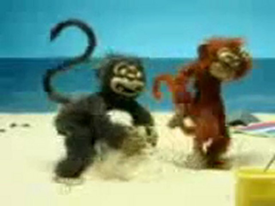 Monyet brengsek.3gp [www.keepvid.com]