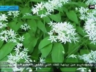 صحتنا جميع: الأحد 24 أبريل