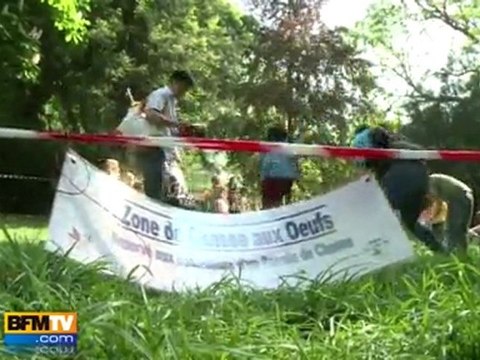 Chasse aux œufs avec le Secours populaire