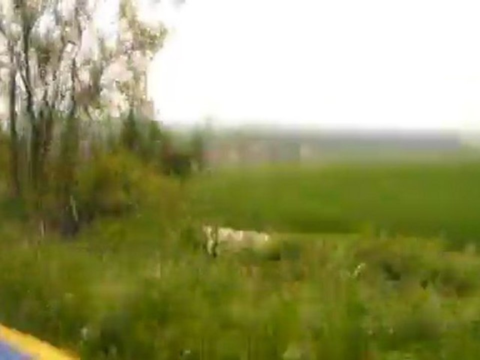 400 husaberg