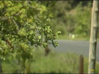 19d-RV-2011-ES10-StFerreol