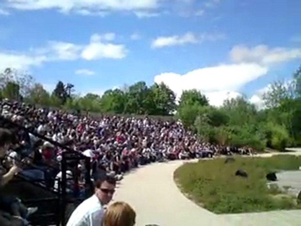 Spectacle - Parc des oiseaux - 4