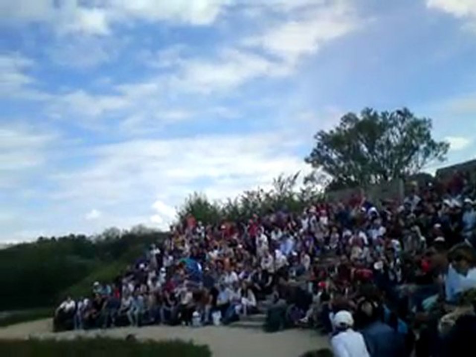 Spectacle - Parc des oiseaux - 10