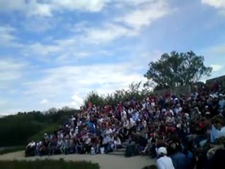 Spectacle - Parc des oiseaux - 10