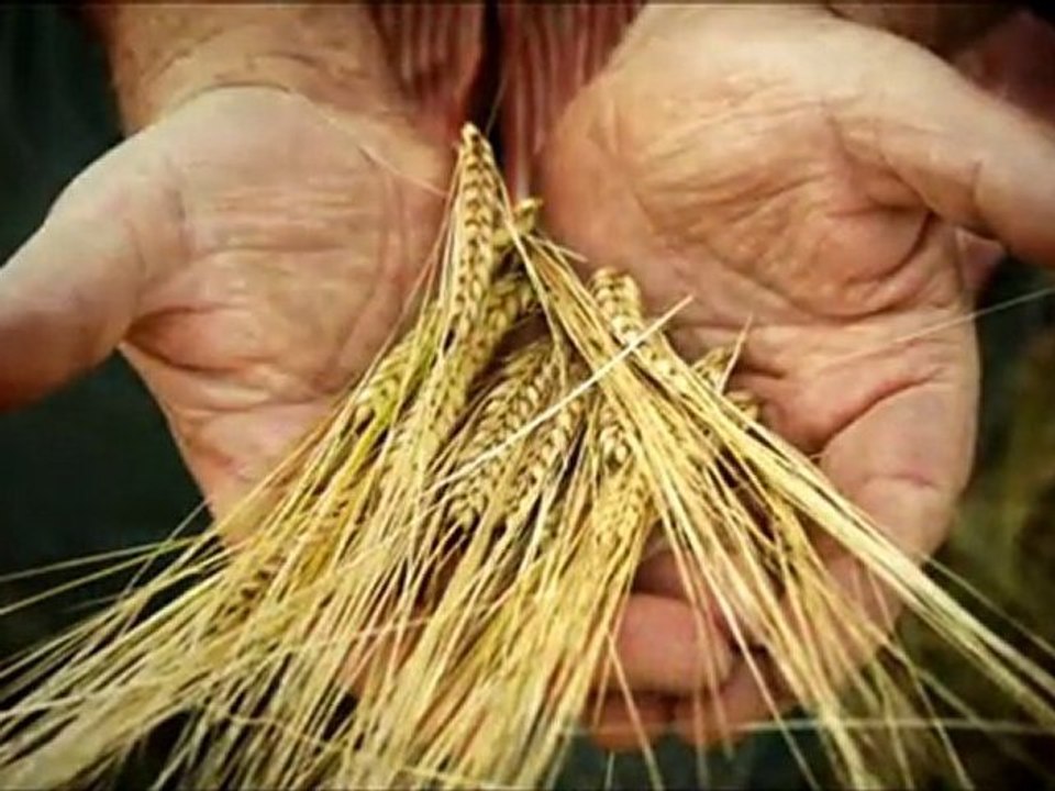 Cumhuriyet Halk Partisi Çifçi Projesi - K. Kılıçdaroğlu