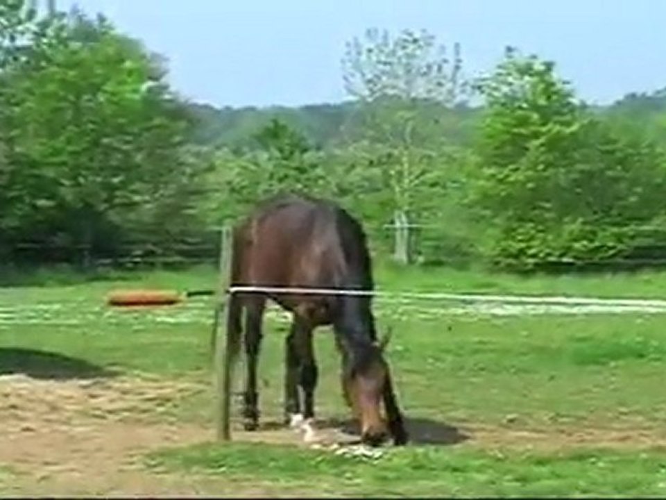 van à2ans