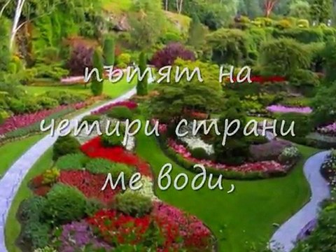 Tanq Savic - Poludela - Bg Prevod