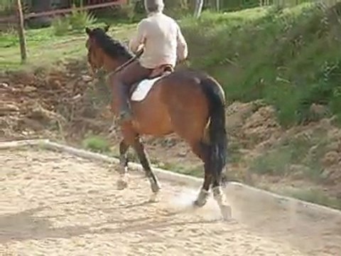 Top Model montée 2011 04 25 - 05