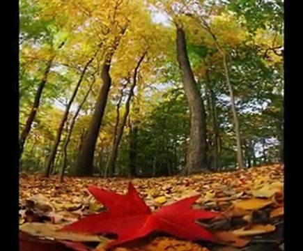 Farid Farjad - Dört Mevsim Melankoli