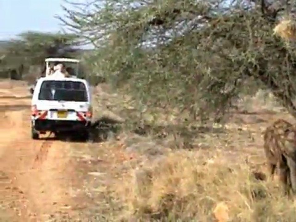 afrika2-1