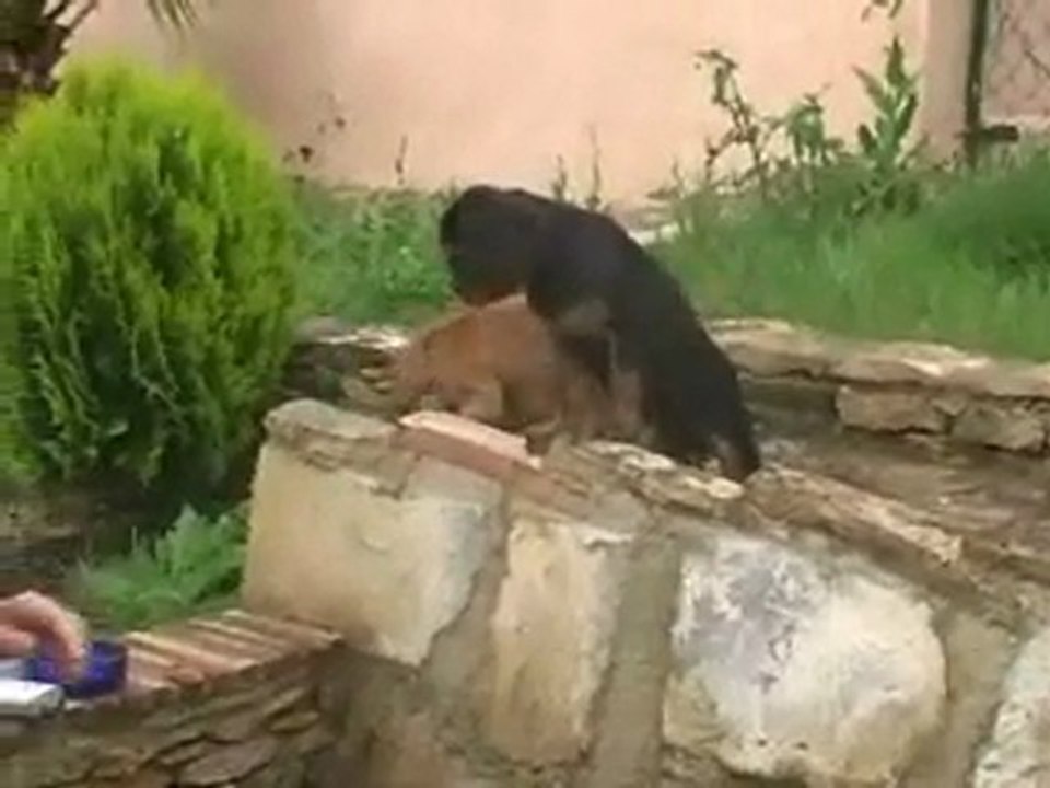 Chez Patricia avril 2011