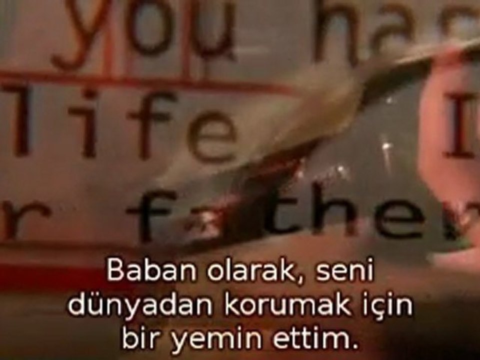 sibel 2